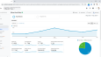 Google Analytics Performans Analizi