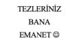 tez düzenleme redaksiyon işleri bende...