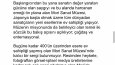 Mori Sanat Müzesi