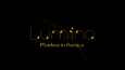 Lumina | Minimalist ve Estetik Logo Tasarımı