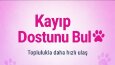 PatiLink