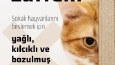 Sosyal Medya yönetimi