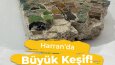 TADLEM TURİZM ETKİLEŞİM TEMALI SOSYAL MEDYA YÖNETİMİ