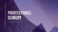 profesyonel sunum