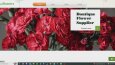 Website Kurulumu