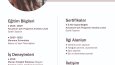 Cv - İnfografik Tasarımlar
