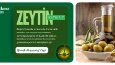 Yaratıcılıkla buluşan estetik