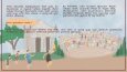 TARİHTE İLK BAHÇELER-Kitap tasarımı