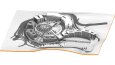 Revit modelleri