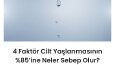 wordpresste sınır yok