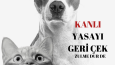 Planlayıcı