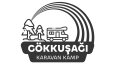 logo tasarımı