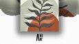 Absart - Sosyal Medya Tasarımları