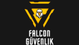 falcon güvenlik - konsept logo
