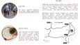  İsteğinize Uygun Katalog Tasarlayabilirim