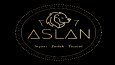 Aslan 77 İnşaat Logo Tasarımı