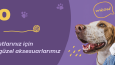 Lino Pet Banner Çalışmaları