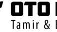 Konseptinize Özgün Güçlü Logo ve Amblem Tasarlarım