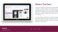 ProfDUX Website Tasarımı