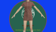 DİJİTAL MODELHANE CLO3D İLE TEKSTİL KALIPLARINIZ HAZIR