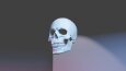 Kuru kafa sculpt