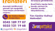 Zirve Pet Taksi Sosyal Medya Tasarımları