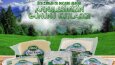Banner- Mailing- Reklam