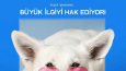 Social Media Design