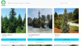 Front-End Design (Figma psd to Html)