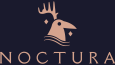 Noctura: Kurgusal Görsel Kimlik Projesi