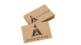 Asya Group Logo Tasarımı