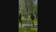 VFX ve editing