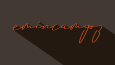 PROFESYONEL GRAFİK TASARIMCI