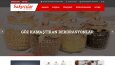 Özel Kodlamalı Kurumsal Web Yazılımı