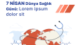 Sosyal Medya - Story/Post Tasarımları