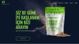 Web Tasarım