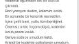 Şiir: Ressamın Şiiri