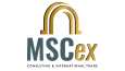 MSCex Consulting - Logo Tasarımı