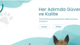 Web Sitesi Tasarım Düzenleme ve Güncelleme