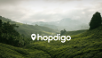 Hopdigo - Logo Tasarımı