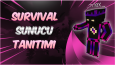 BANNER-VB