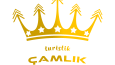 Logo Teslimatı