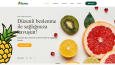 Web Tasarım