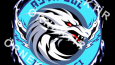 Logo Tasarımları