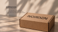 NORDEN – Premium Eyewear Marka Kimliği