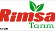 Bir çok sadece ve şık logo tasarımları yapıyorum