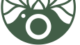 ForestCam - Konsept Logo Çalışması