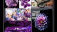 Moda Tasarım ve Marka Mood board(Hikaye panosu) 