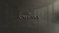 LOGO TASARIM