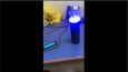 Arduino ile Foton Yoğunluklu Biyolojik Test Sistemi